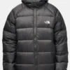 The North Face Hydrenalite Down Hoodie Jacket